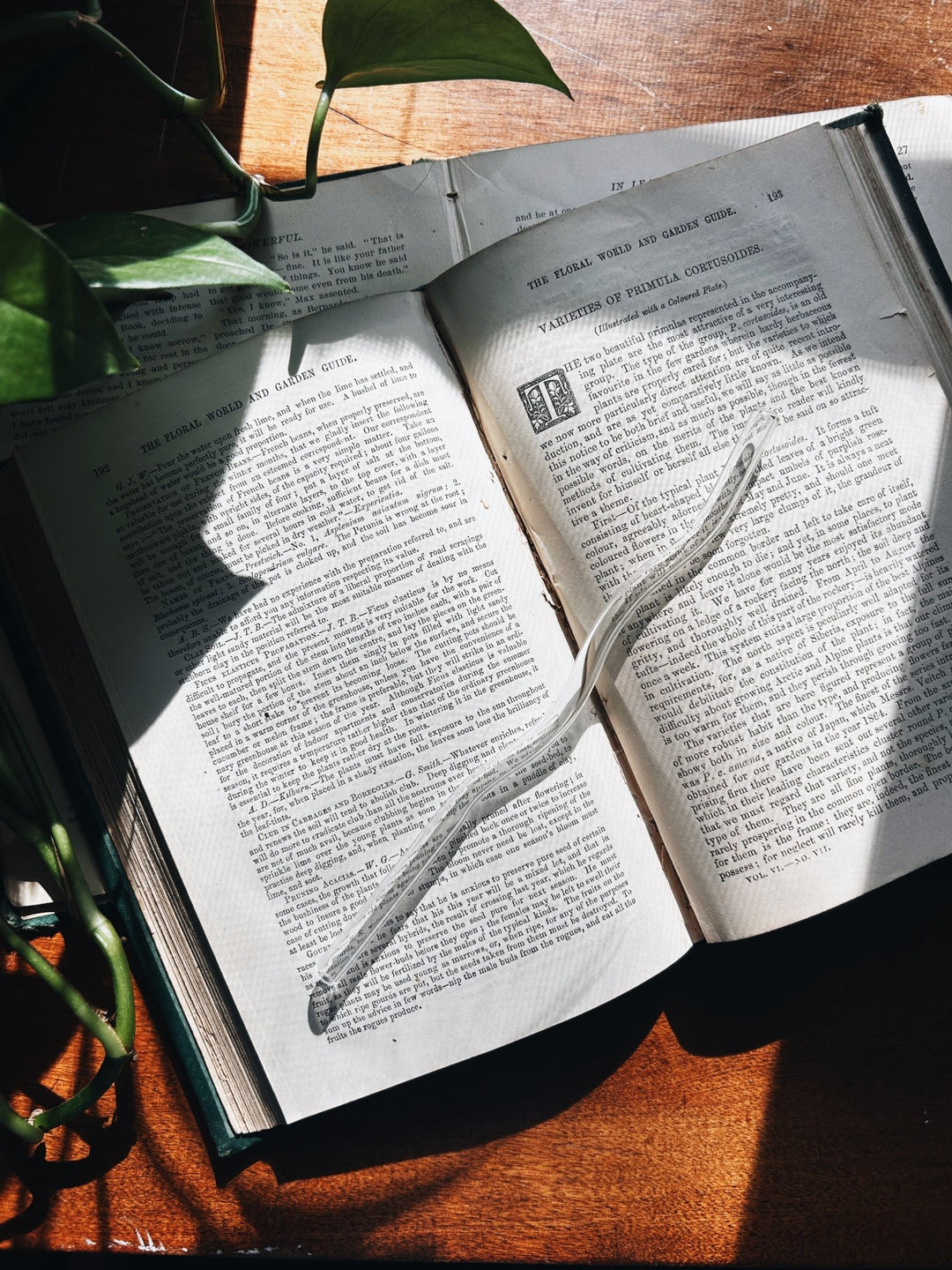 Wiggly Glass Straws - The Pagan Grimoire