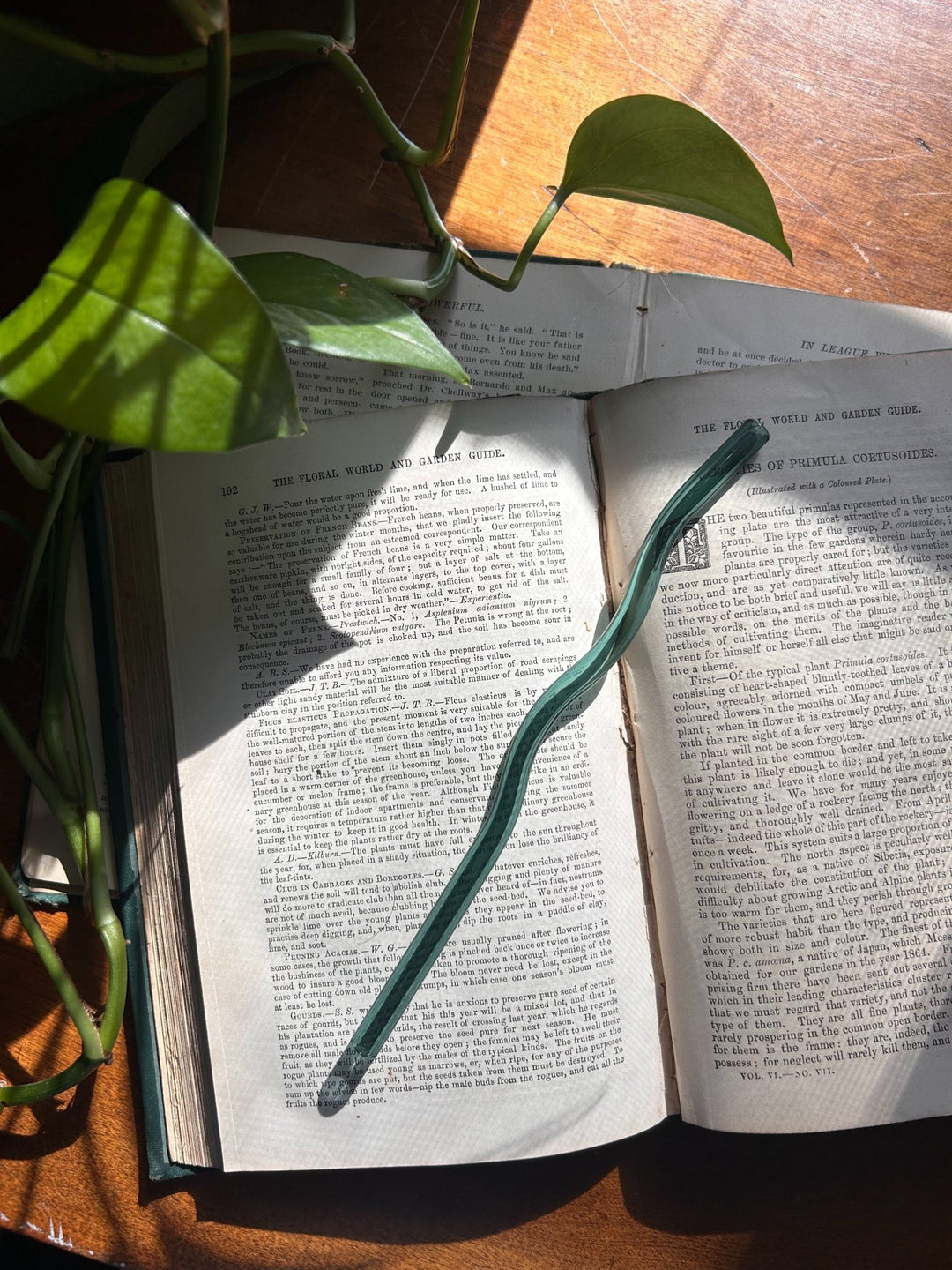 Wiggly Glass Straws - The Pagan Grimoire