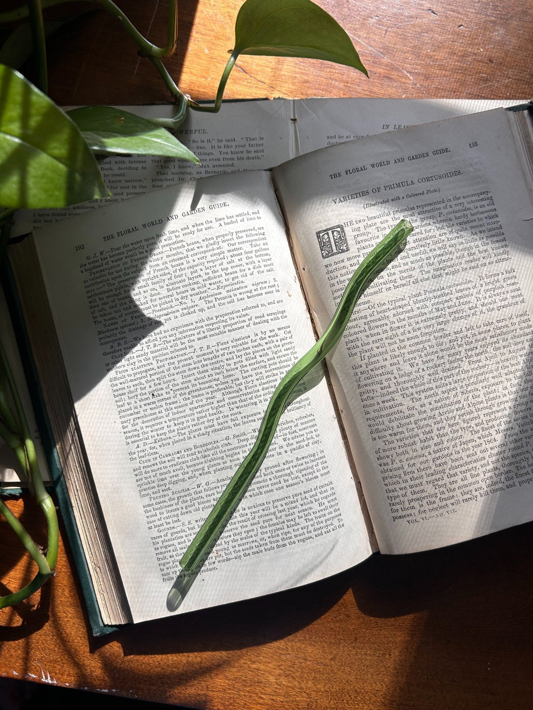 Wiggly Glass Straws - The Pagan Grimoire