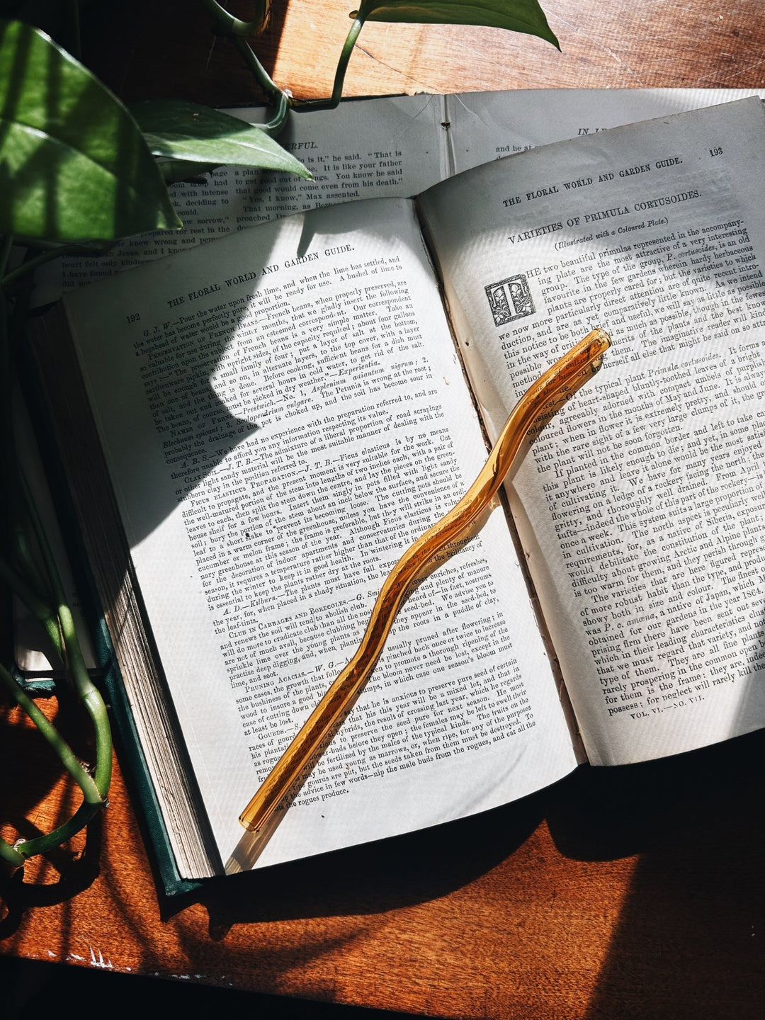 Wiggly Glass Straws - The Pagan Grimoire