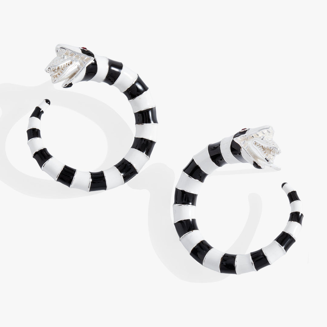 Black and white striped earrings on a white background