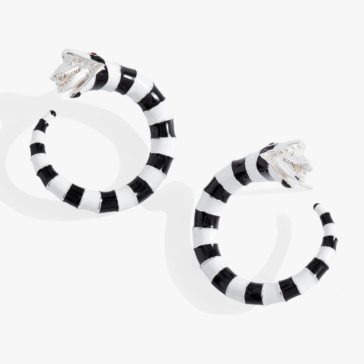 Black and white striped earrings on a white background