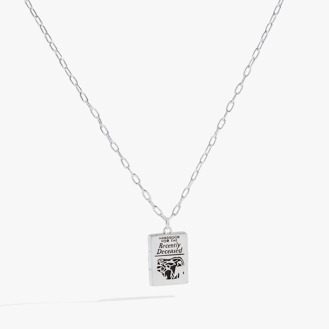 Silver Handbook for the Recently Deceased necklace with a pendant on a white background
