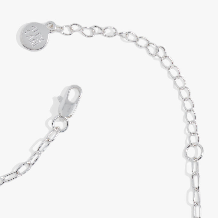 Silver chain bracelet with clasp on a white background