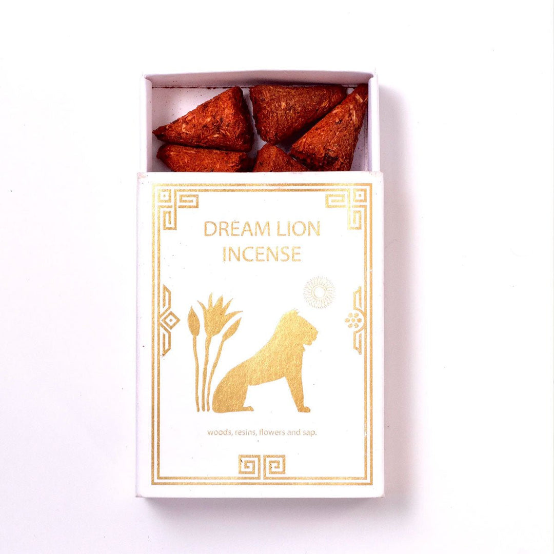 Nine treasures incense box with gold lion, geometric border, and red-brown cones inside.